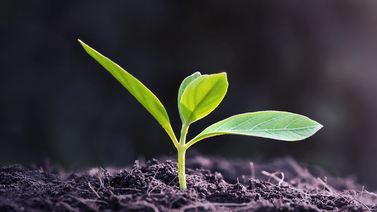 Sustainability at KESSEL Sustainability at KESSEL